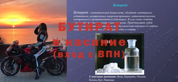 дмт Богданович