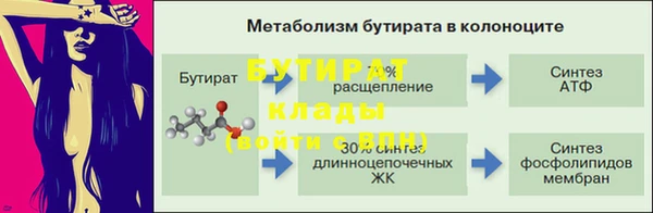 дмт Богданович