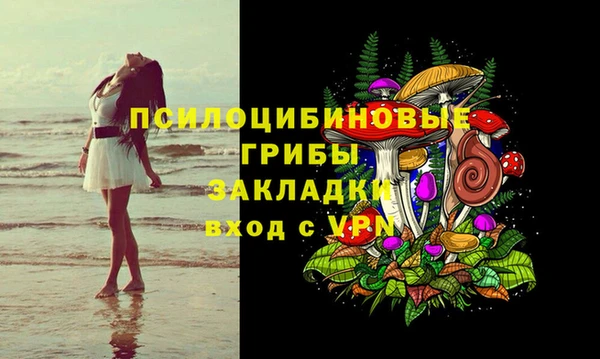 mdma Богородицк