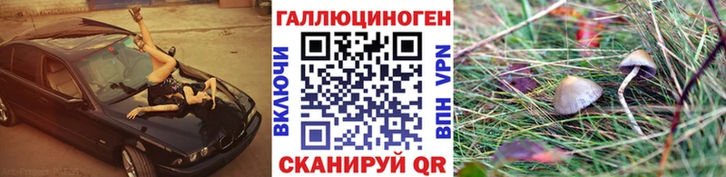 Псилоцибиновые грибы мухоморы  Дубна 
